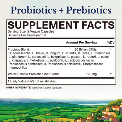 Vitalitown Probiotics + Prebiotics | 60 Billion CFUs 19 Strains | 60 Delayed Release Veg Caps | Shelf Stable, Prebiotics and Probiotics | Digestive Health - Maple Wellness Supplements