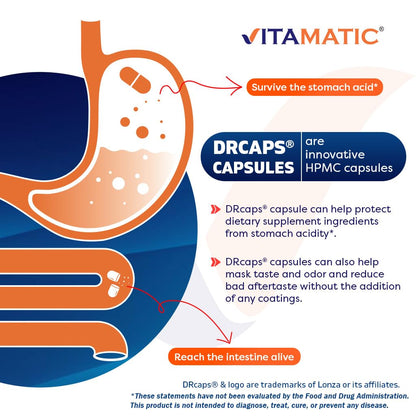 Vitamatic Lactobacillus Plantarum - 20 Billion per DR Capsule - 60 Count - Digestive Support - Made with Prebiotic Inulin Fiber - Maple Wellness Supplements