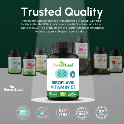 Vitamin B2 Riboflavin 400mg - Energy, Skin & Cellular Health Supplement - Nervous System Support - Vitamin B 2 Vit B - Non-GMO & Gluten Free - B2 Vitamin 400mg - Maple Wellness Supplements