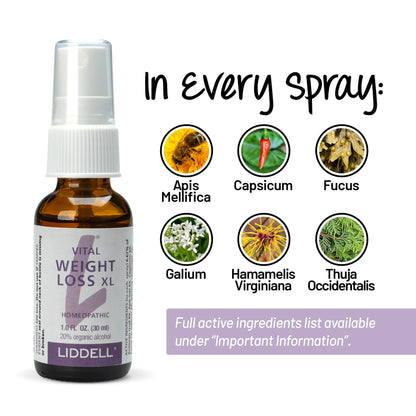 VITL Weight Loss XL Liddell Homeopathic 1 oz Liquid - Maple Wellness Supplements