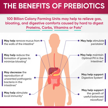 Wholesome Wellness Dr. Formulated Raw Probiotics for Women 100 Billion CFUs Capsules with Prebiotics, Digestive Enzymes - Maple Wellness Supplements
