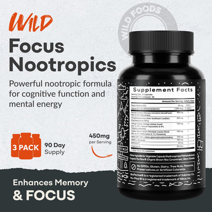 Wild Focus Brain Supplements | Caffeine-Free, Plant-Based Botanicals | Lions Mane, Ginkgo Biloba, Bacopa Monnieri, Lemon Balm | 100% Natural Nootropic | 60 caps - Maple Wellness Supplements