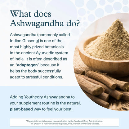 Youtheory Ashwagandha Liquid - with Organic KSM-66 Ashwagandha - Herbal Blend to Support Stress Relief & Energy Levels* - Helps Support Mood* - 1 oz Single Serve Packet, Pack of 12 - Maple Wellness Supplements
