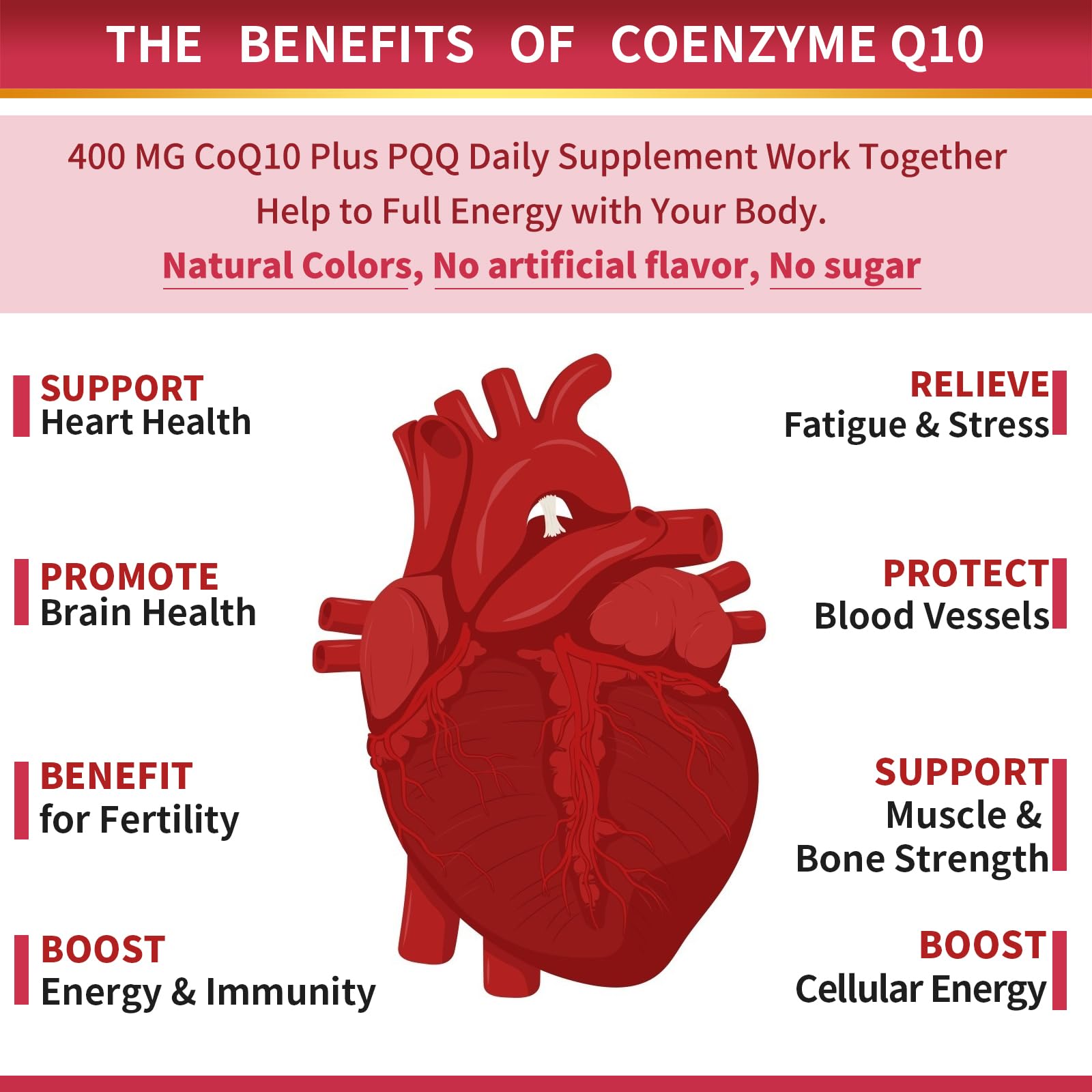 ZEBORA CoQ10-400mg-Softgels with PQQ, BioPerine & Omega-3, Coenzyme Q10(Ubiquinone) Supplement for High-Absorption, Powerful-Antioxidant - Maple Wellness Supplements