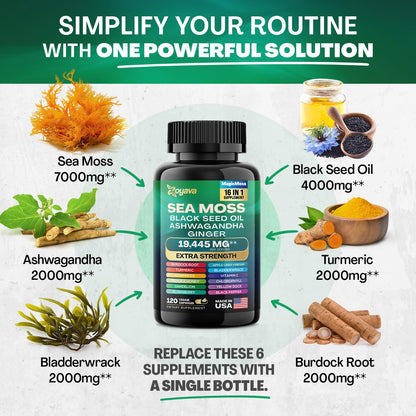 Zoyava Sea Moss 7000mg Black Seed Oil 4000mg Ashwagandha 2000mg Turmeric - Maple Wellness Supplements